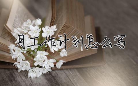 月工作计划怎么写范文大全 13篇