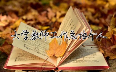 大学教师工作总结个人（精选合集13篇）