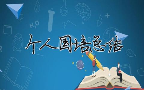 个人国培总结 国培个人总结汇报ppt（精选合集17篇）