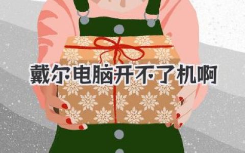 戴尔电脑开不了机啊！