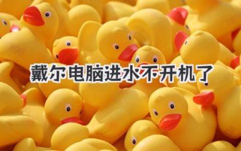戴尔电脑进水不开机了