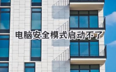 电脑安全模式启动不了