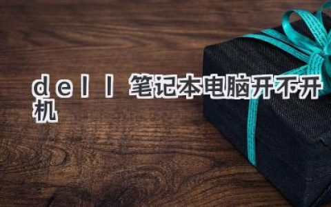 dell笔记本电脑开不开机