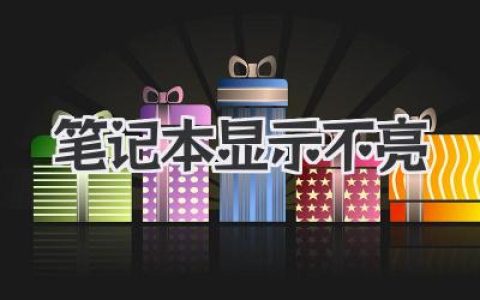 笔记本显示不亮：救命！屏幕一片漆黑的自救指南