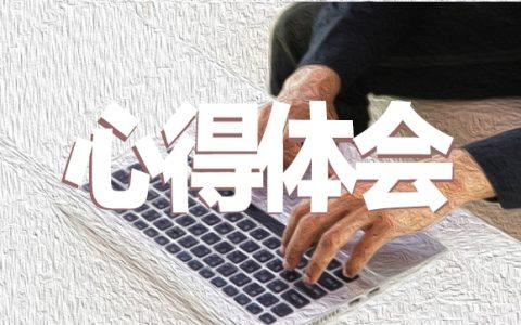 幼儿园业务园长年终总结精选5篇 幼儿园业务园长年终总结精选5篇怎么写